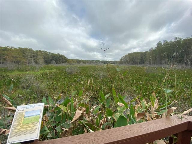 Preserve from Boardwalk