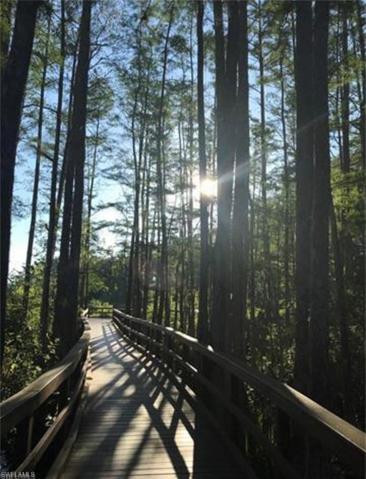 Boardwalk in Preserve