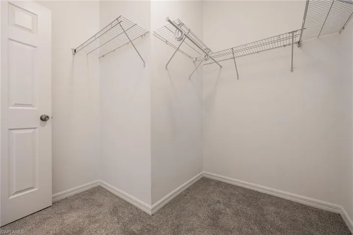 Spacious Walk in closet with carpet floors