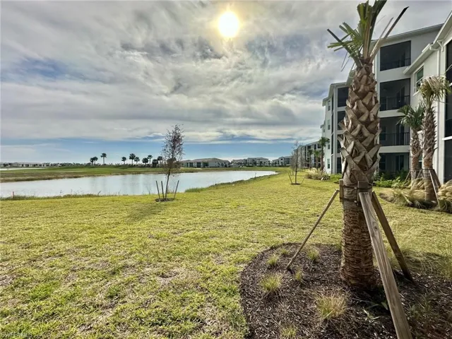 43989 Boardwalk Loop 2018, Babcock Ranch, Florida 33982
