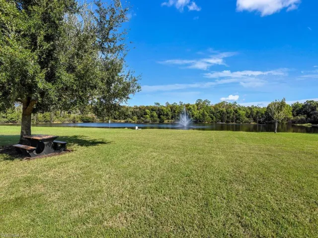 Lakefront Park Area