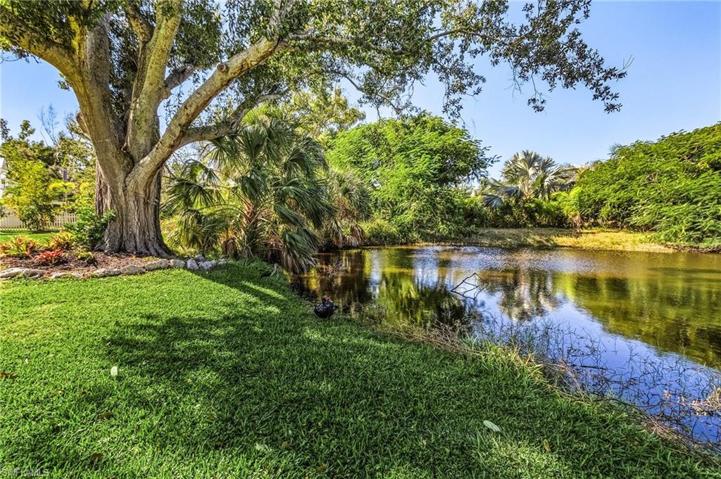 The pond with beautiful royal ponciana and old oak trees.