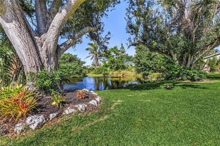 Aerated pond with tropical trees