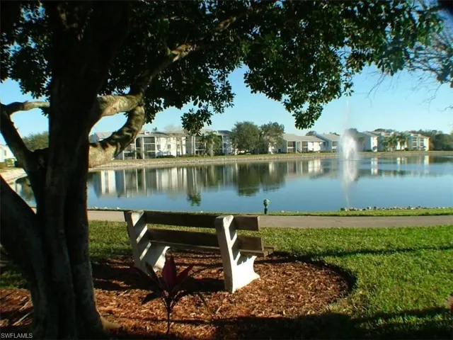 Beautiful Pine Ridge!