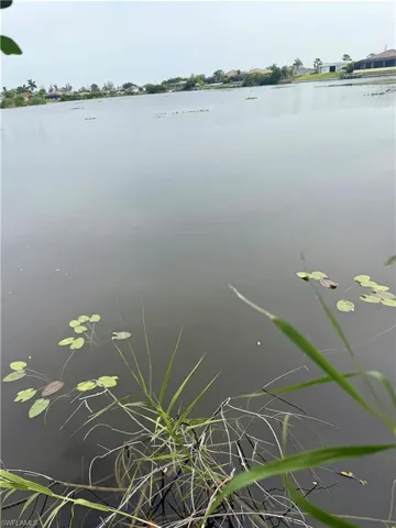 Waterfront property with aquatic vegetation and distant residences