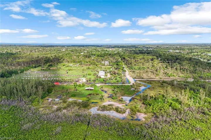 View of property location with a forest
