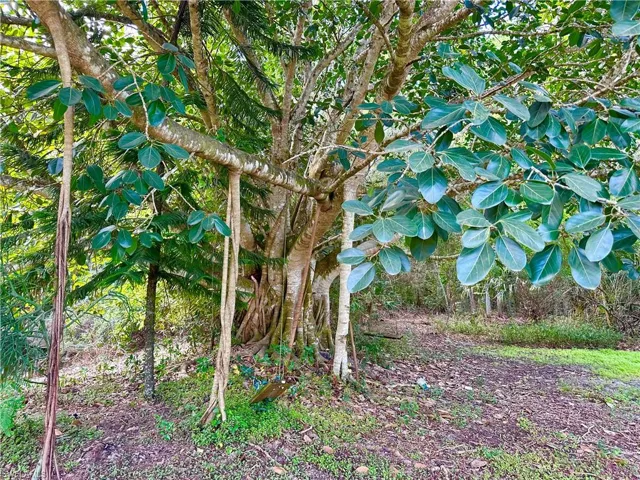 12920  Tower  RD, Bonita Springs, FL 34135