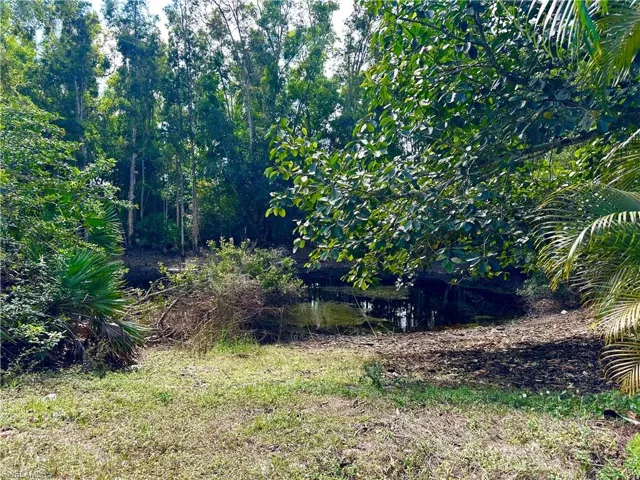 12920  Tower  RD, Bonita Springs, FL 34135
