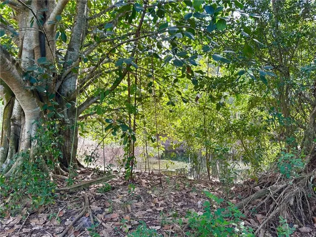 View of landscape