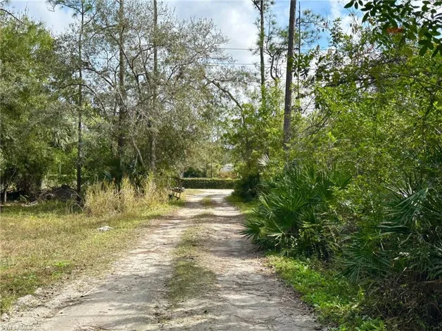View of street