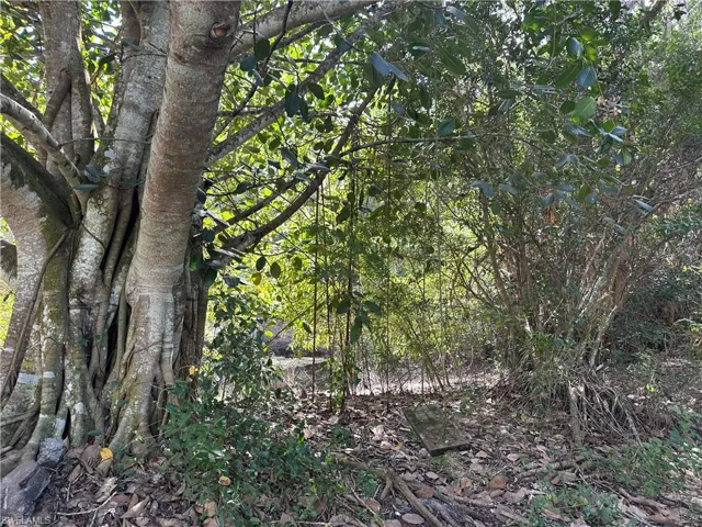 12920  Tower  RD, Bonita Springs, FL 34135