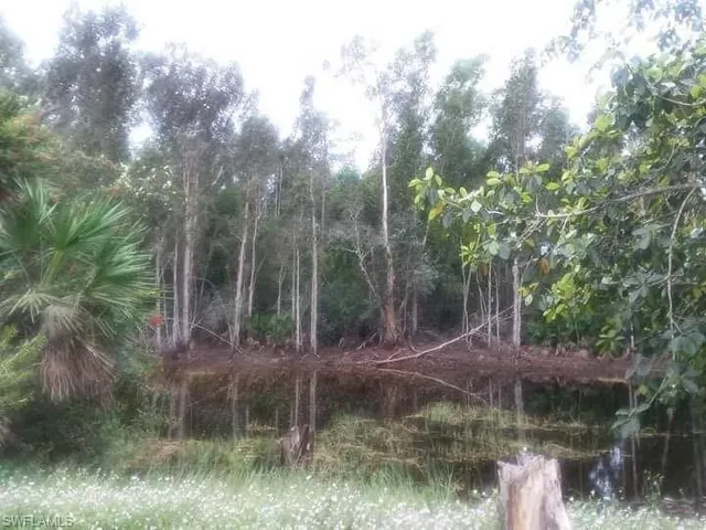 12920  Tower  RD, Bonita Springs, FL 34135