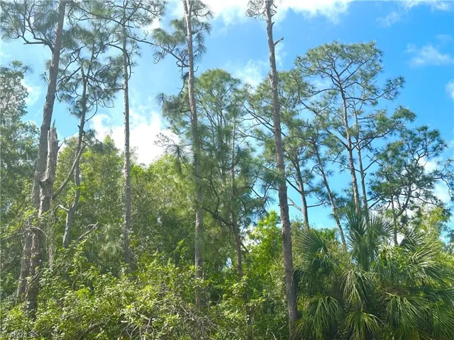 View of nature