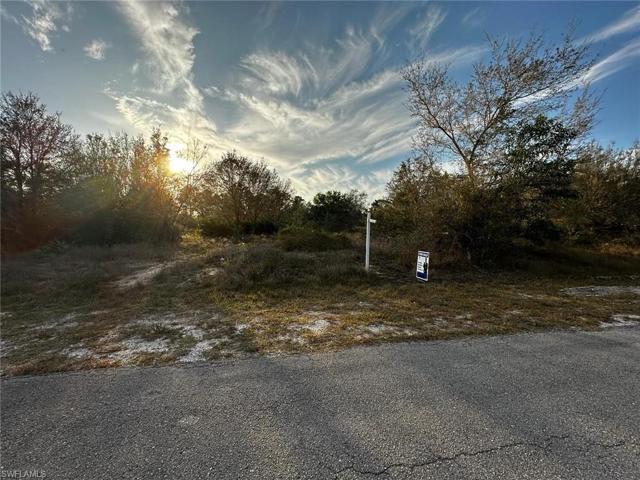 1119 Canton AVE, LEHIGH ACRES FL 33972
