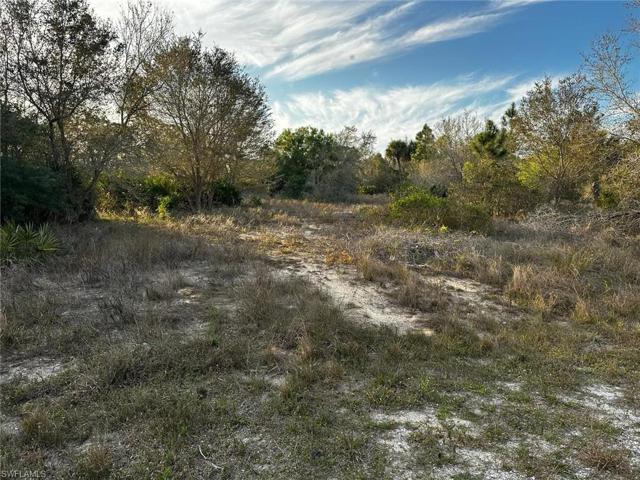 1119 Canton AVE, LEHIGH ACRES FL 33972