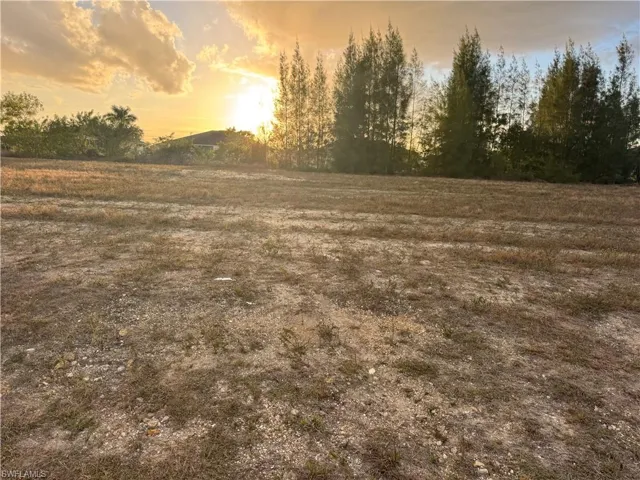 View of local wilderness
