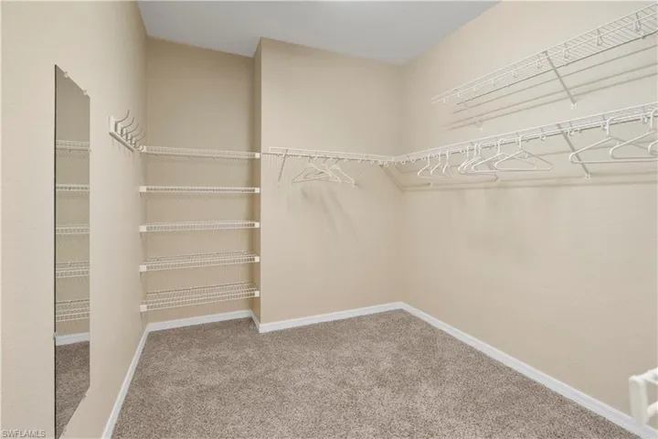 Spacious closet featuring light carpet