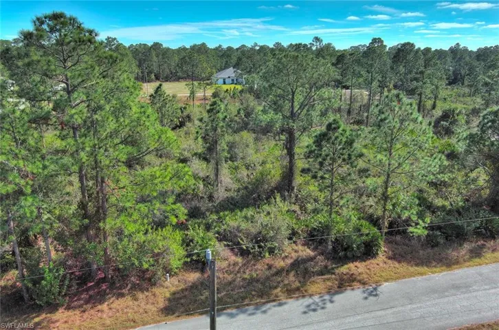 Aerial view of a heavily wooded area