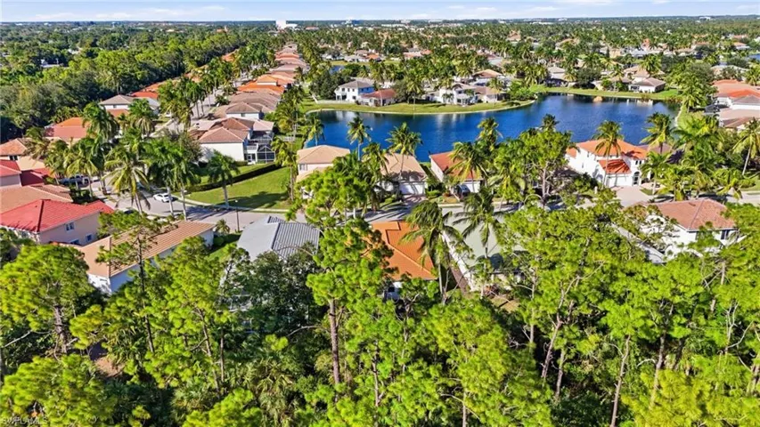 Aerial perspective of a residential community featuring extensive mature palm and pine tree landscaping, tile roof architecture, and a prominent central lake