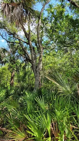 701  Tampa  AVE, Clewiston, FL 33440