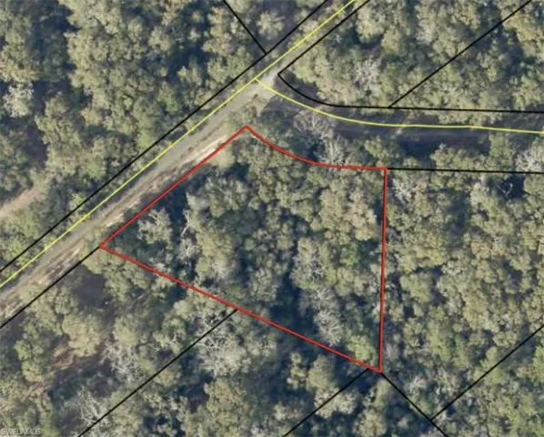 Aerial Map. Illustrating the boundaries of the property and adjacent parcels