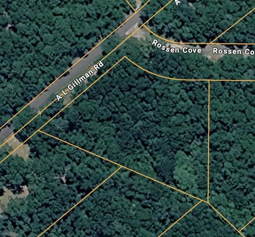 Plat Map. Illustrating property lines and adjacent roadways
