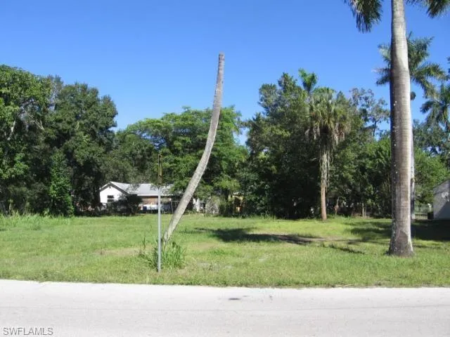 View of grassy yard