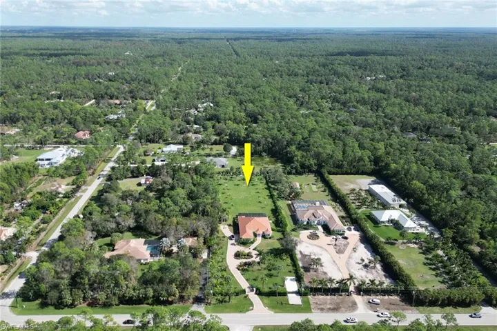 View of bird's eye view