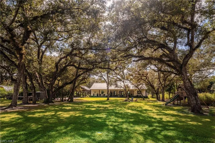 View of back yard