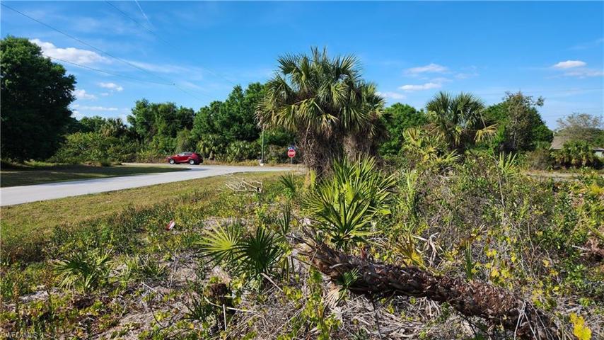 On 6014 Vera ave N. looking toward corner lot.  Great area with few homes.
