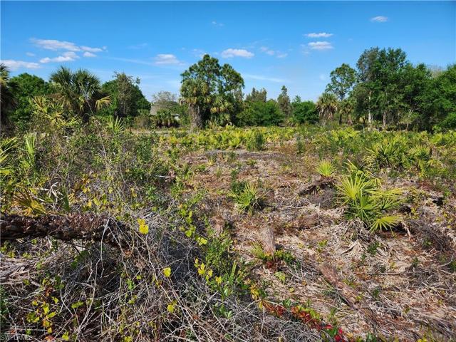 Semi cleared lots ready for you dream homes!