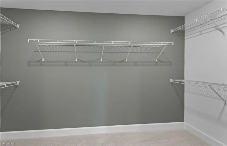 Walk in closet with light colored carpet