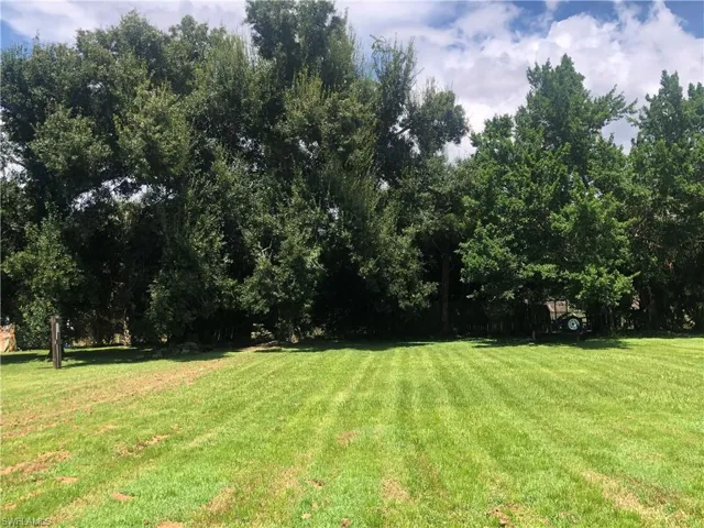 View of back yard