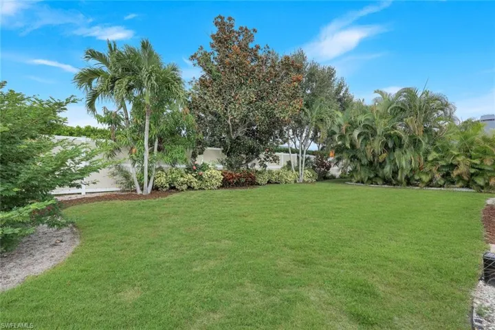 Large back yard