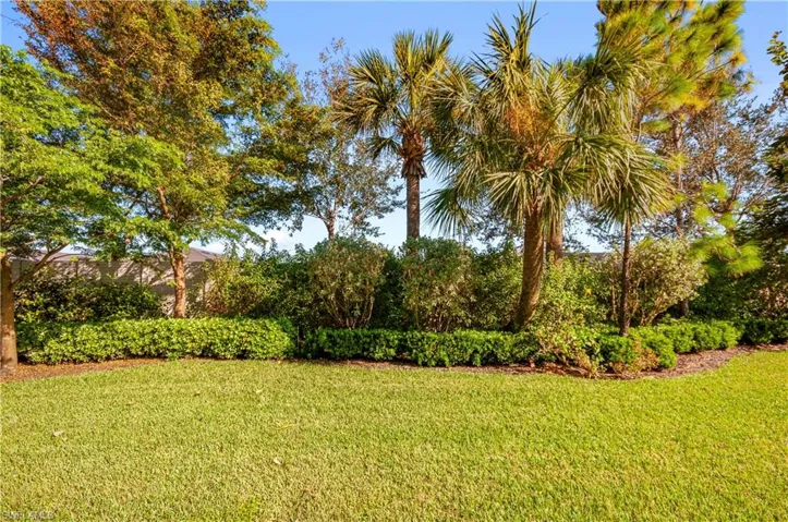 Rear Yard