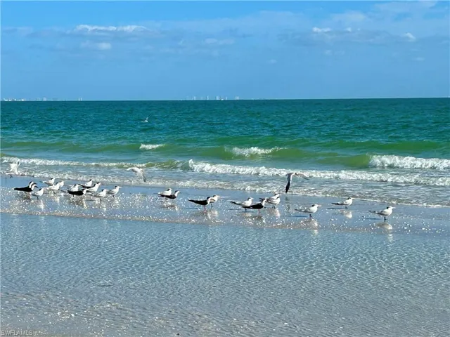 Water view with nearby beach