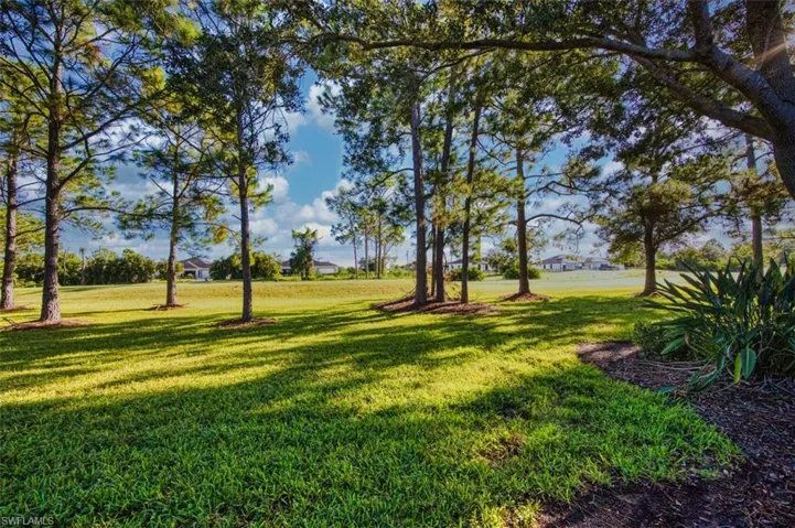 View of grassy yard