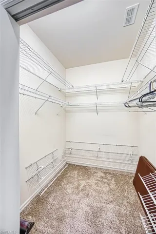 Walk in closet with carpet flooring