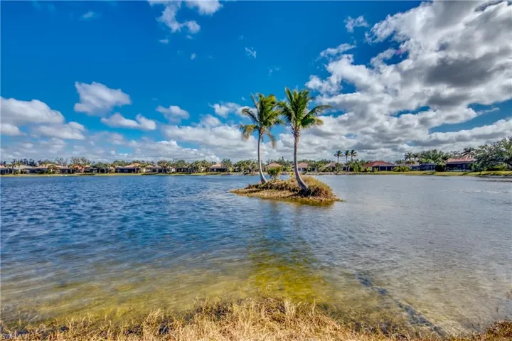 Lake Views