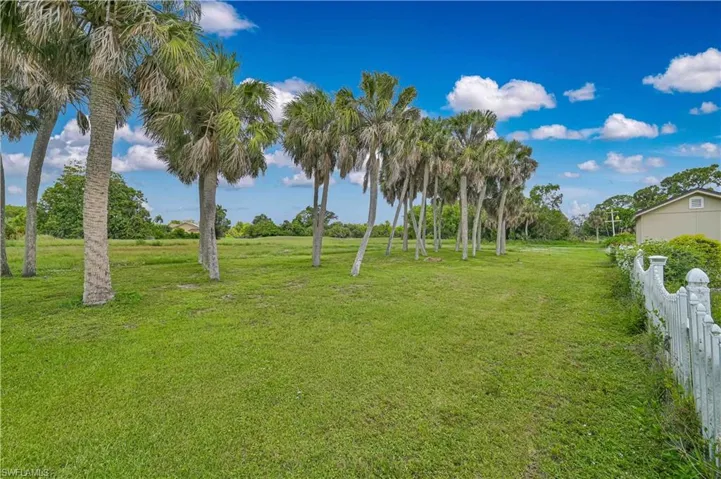 Expansive green space featuring a row of mature palm trees