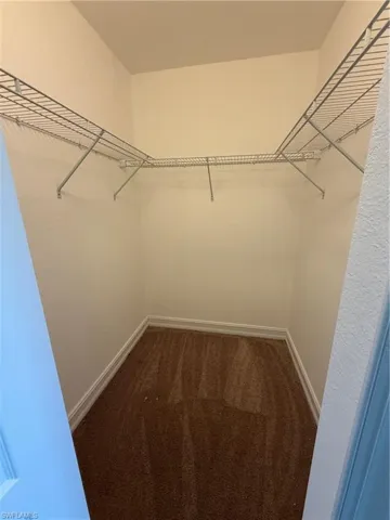 Walk-in closet featuring wire shelving, white wall paint, and brown carpeting