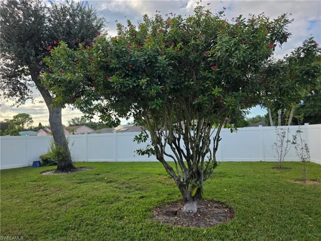 View of fenced backyard
