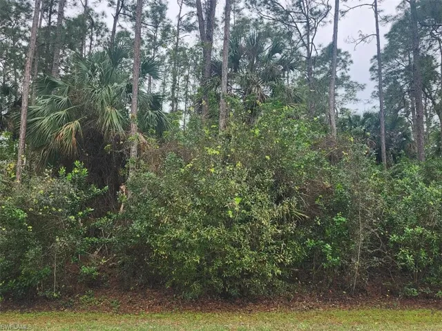 View of nature