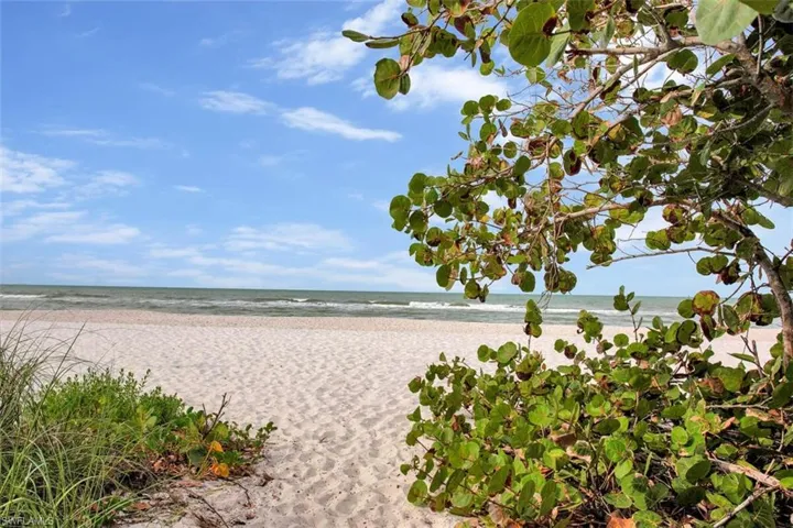 Beach at 4th Ave