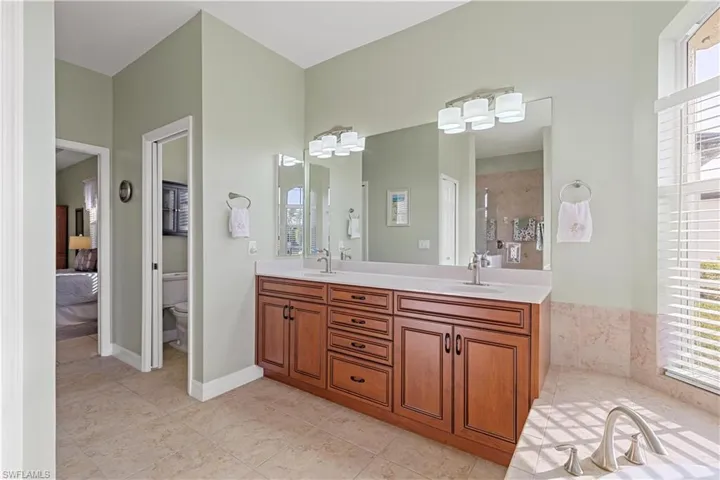 Dual sinks