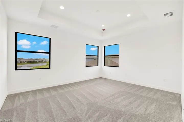 Carpeted empty room with a raised ceiling and a wealth of natural light