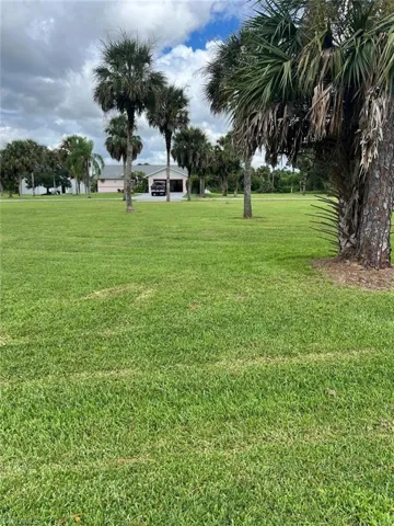 View of grassy yard