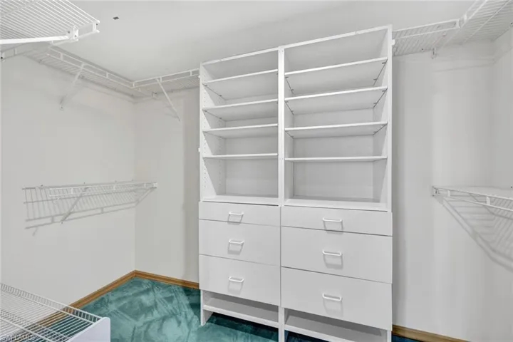 Spacious closet with dark colored carpet
