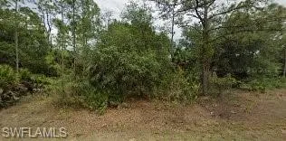 View of nature