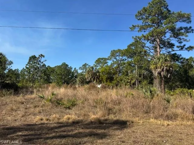 View of undeveloped land